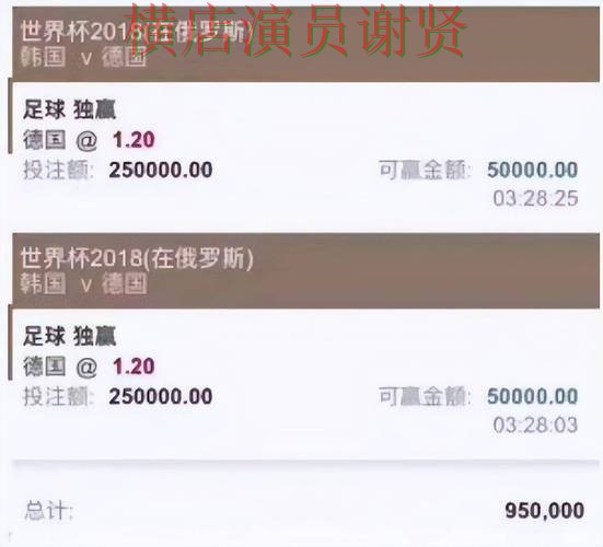 新手必看：世界杯投注平台推荐直播入口详解 + 世界杯官方信息