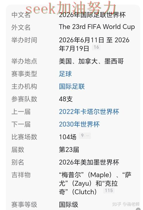世界杯买球网站解析报告：玩法指南+直播与实际体验总结 - 2026世界杯